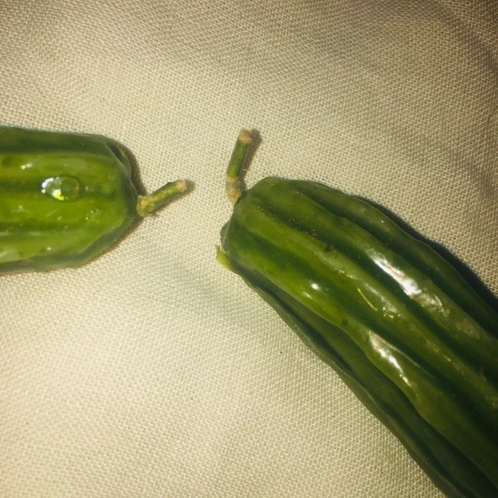 Vintage 2 Cactus Candles 7